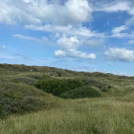 Spacious House With Sea View In North Jutland Hébergement de vacances Bindslev